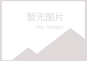 碾子山区伤口能源有限公司